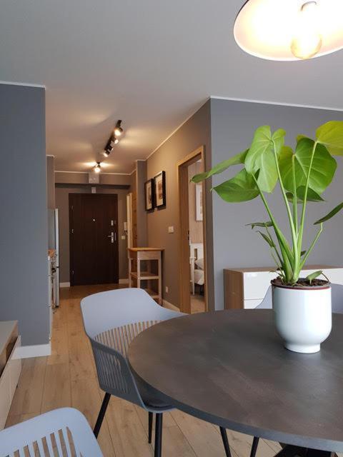 Apartament Triventi 88 Z Widokiem Na Sniezke - 5D Apartamenty Karpacz Exteriör bild